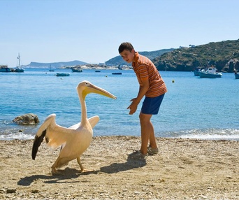 Une scène du film Nicostratos le pélican