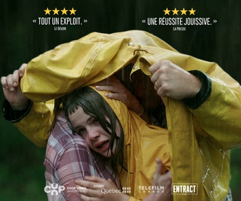 Affiche du film La déesse des mouches à feu