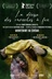 Affiche du film La déesse des mouches à feu