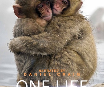 Affiche du film One Life