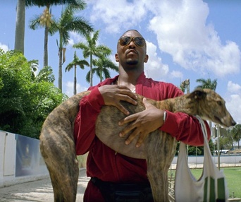 Une scène du film  Pain & Gain