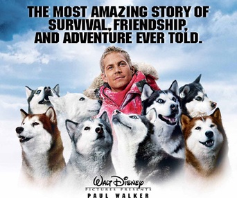 Affiche du film Eight Below