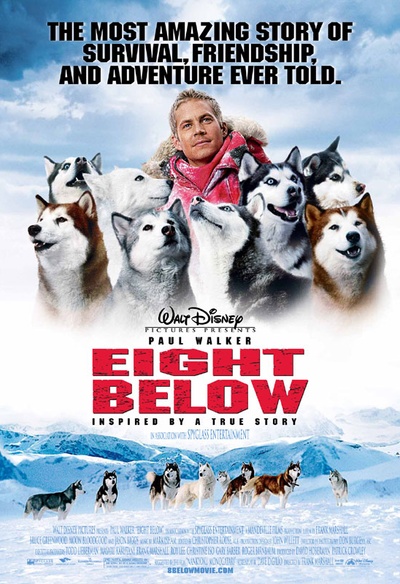 Affiche du film Eight Below