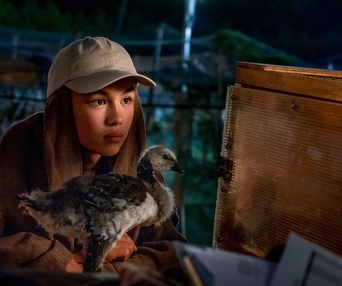 Une scène du film Donne-moi des ailes