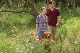 Une scène du film A Dog's Purpose Une scène du film A Dog's Purpose