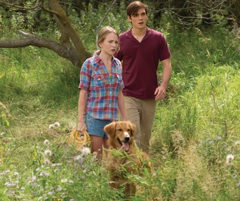 Une scène du film A Dog's Purpose