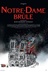 Affiche du film Notre-Dame brûle