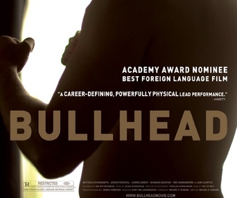 Affiche du film Bullhead