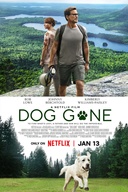 Affiche du film Chien perdu