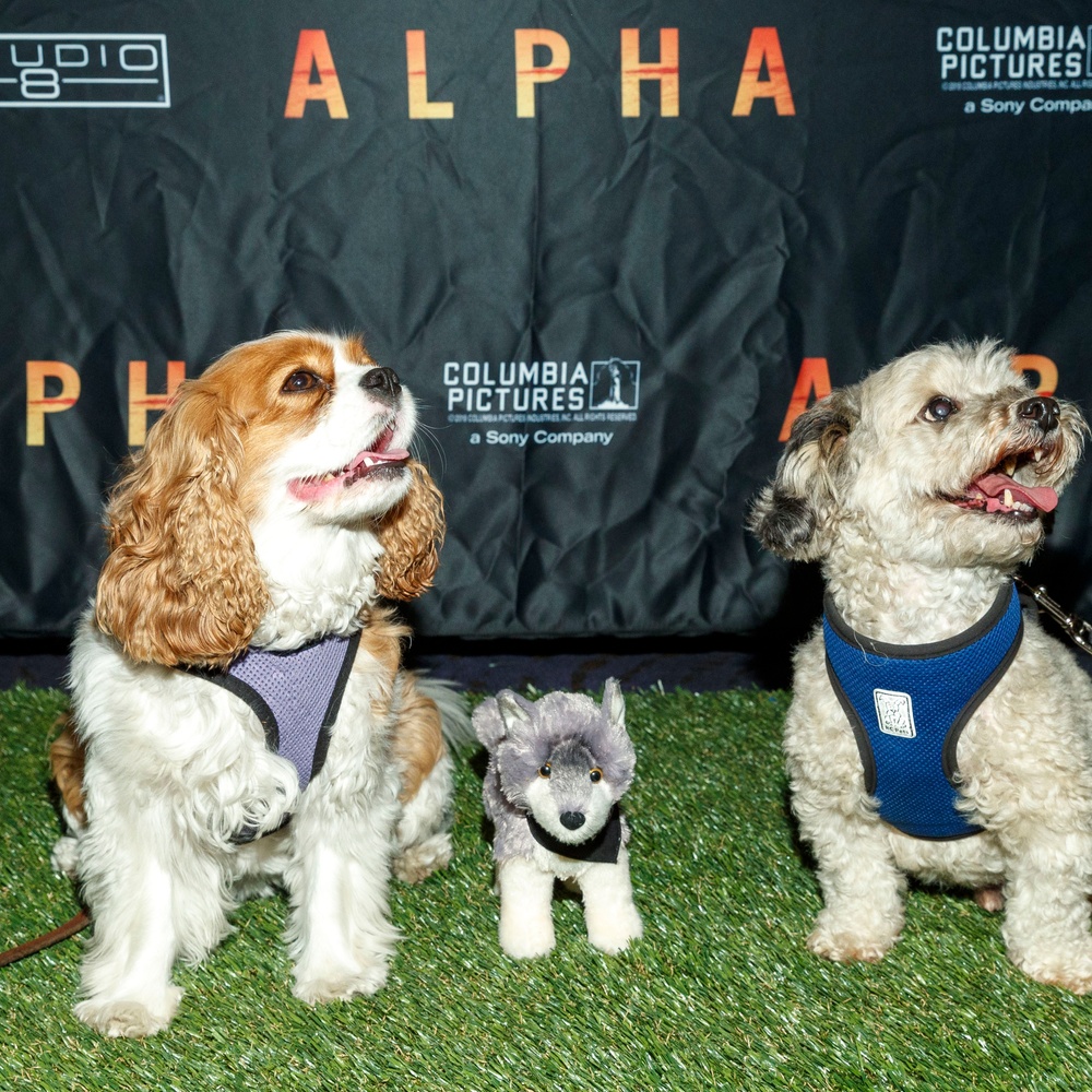 Première du film Alpha à Los Angeles
