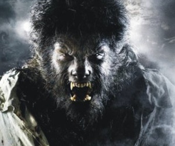 Affiche du film The Wolfman