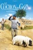 Affiche du film Le cochon de Gaza