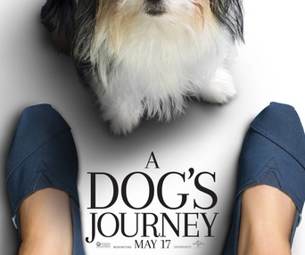 Affiche du film A Dog's Journey