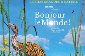 Affiche du film Bonjour le monde!