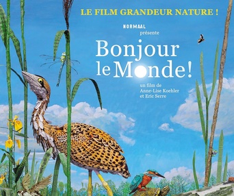 Affiche du film Bonjour le monde!