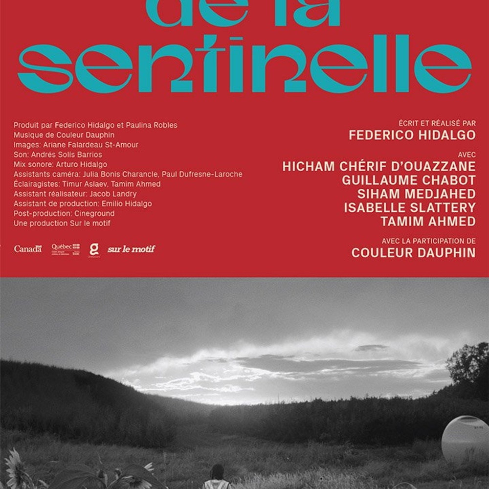 Affiche du film TJournal de la sentinelle
