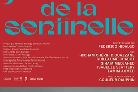 Affiche du film TJournal de la sentinelle