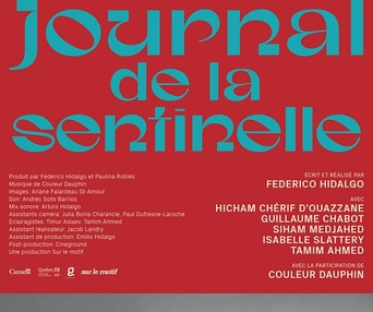 Affiche du film TJournal de la sentinelle