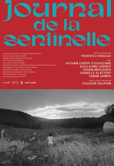 Affiche du film TJournal de la sentinelle