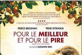 Affiche du film Pour le pire et pour le meilleur