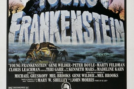 Affiche du film Young Frankenstein Affiche du film Young Frankenstein
