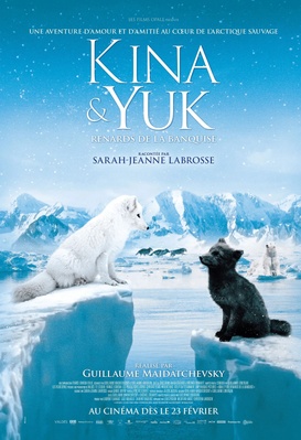 Kina & Yuk : renards de la banquise