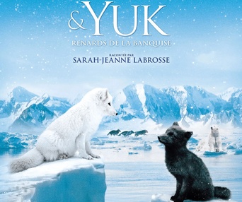 Affiche du film Kina & Yuk, renards de la banquise