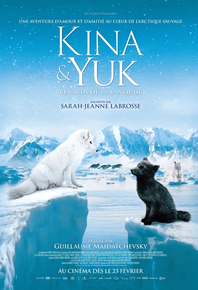 Affiche du film Kina & Yuk, renards de la banquise