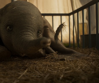 Une scène du film Dumbo