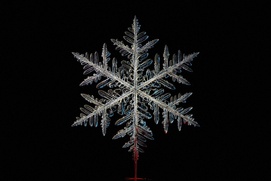 Affiche du film The Lodge