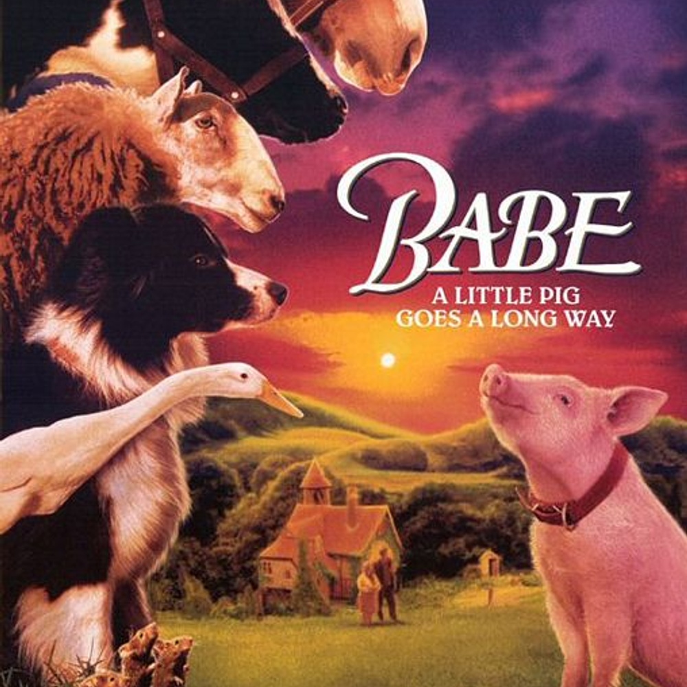 Affiche du film Babe