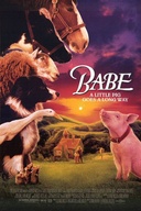 Affiche du film Babe