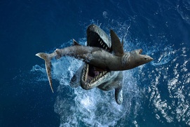 Scène du film Sea Monsters 3D