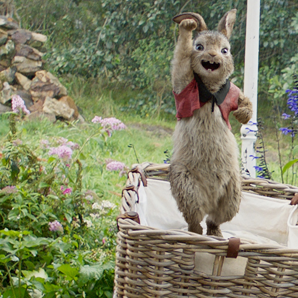 Une scène du film Peter Rabbit