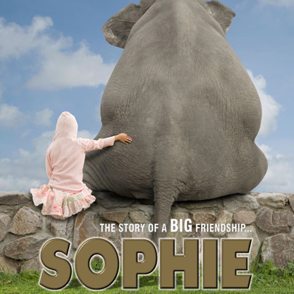 Affiche du film Sophie