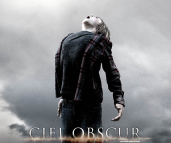 Affiche du film Ciel obscur