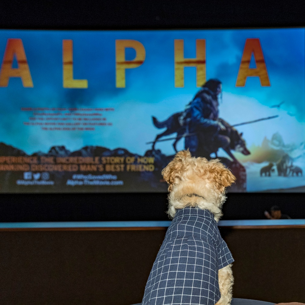 Première du film Alpha à Los Angeles
