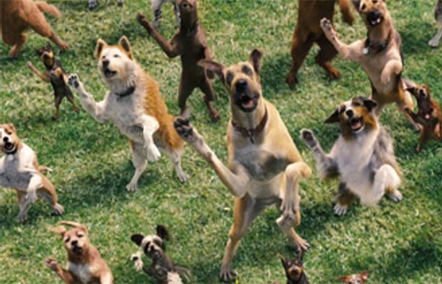 Une scène du film Marmaduke