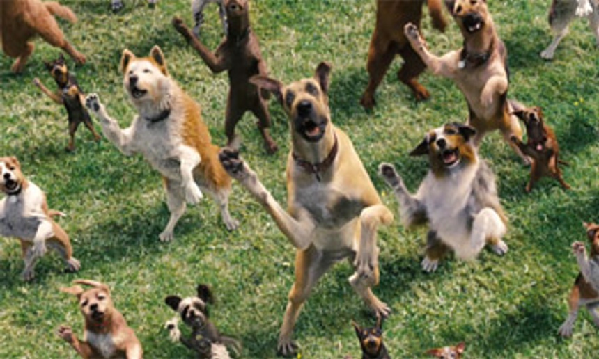 Bande-annonce de la comédie familiale Marmaduke