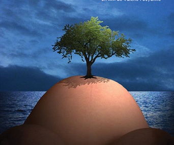 Affiche du film L'arbre et le nid