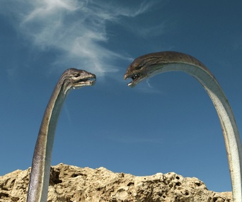 Une scène du film Sea Rex: Journey to a Prehistoric World 3D