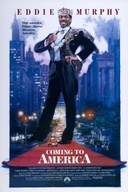 Affiche du film Un prince à New York