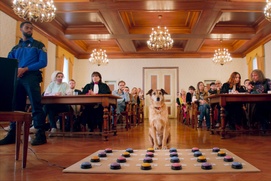 Image du film Le procès du chien