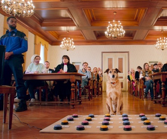 Image du film Le procès du chien