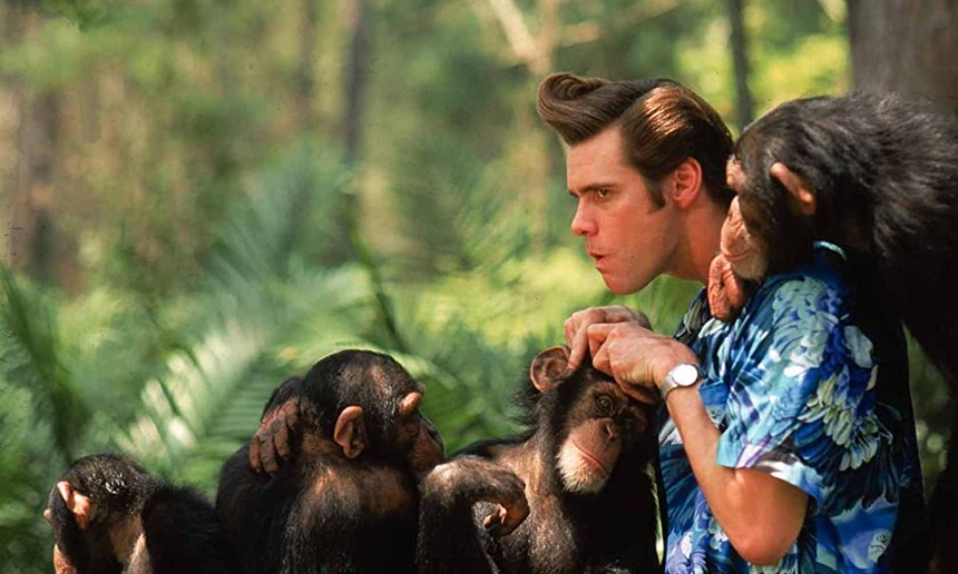 Un Ace Ventura 3 en chantier pour Amazon Prime