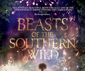 Affiche du film Beasts of the Southern Wild