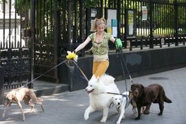 Scène du film Whatever Works