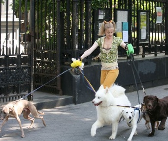 Scène du film Whatever Works