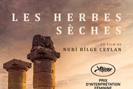 Affiche du film Les herbes sèches Affiche du film Les herbes sèches