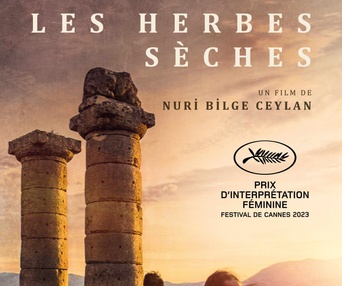 Affiche du film Les herbes sèches
